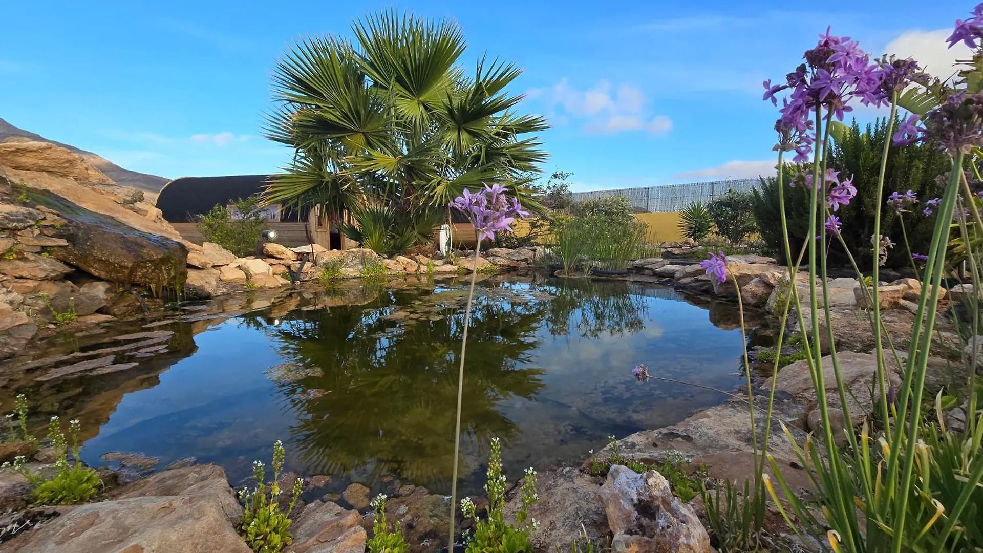 Villas Shangri-La Fuerteventura Tefía