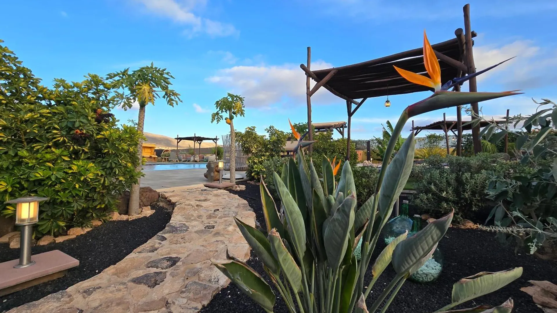 Villas Shangri-La Fuerteventura Tefía